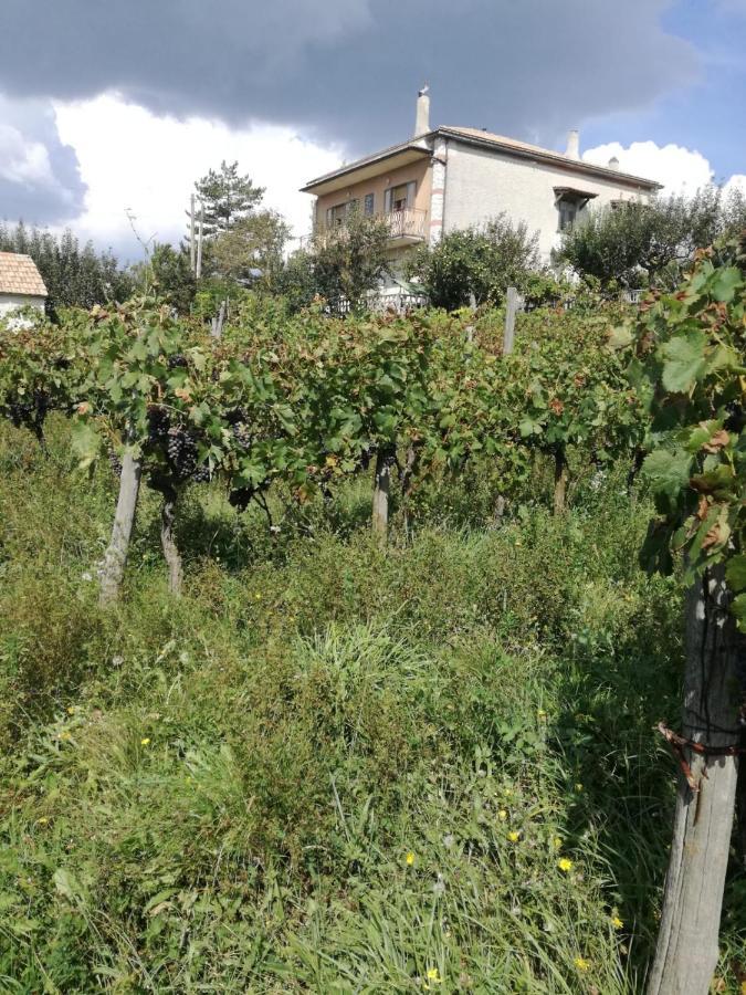 B&B Nel Verde Montesano sulla Marcellana Exteriér fotografie