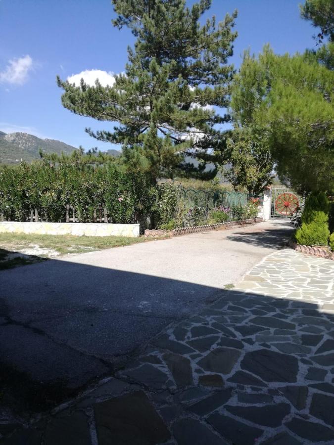 B&B Nel Verde Montesano sulla Marcellana Exteriér fotografie