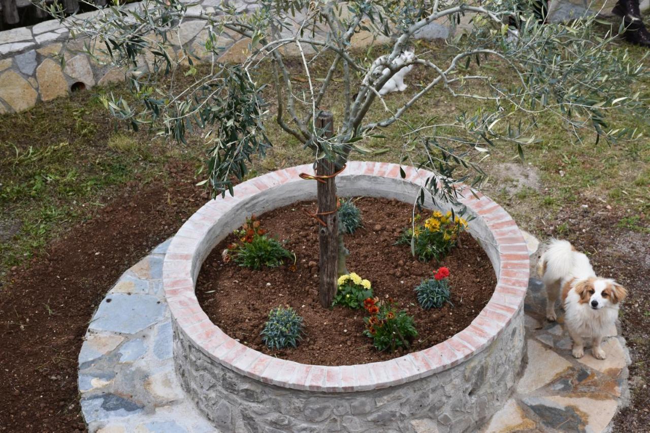 B&B Nel Verde Montesano sulla Marcellana Exteriér fotografie