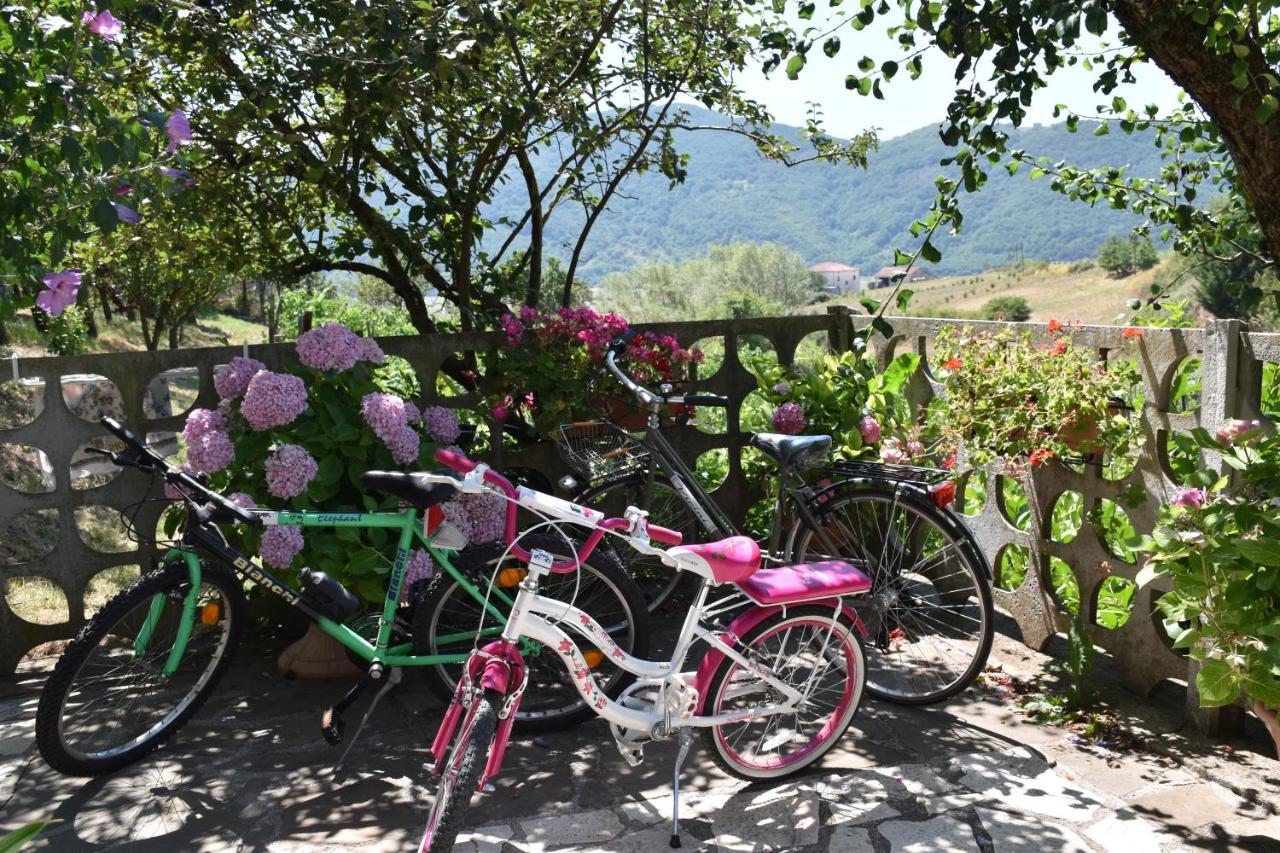 B&B Nel Verde Montesano sulla Marcellana Exteriér fotografie